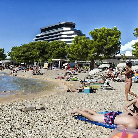 Brankica *