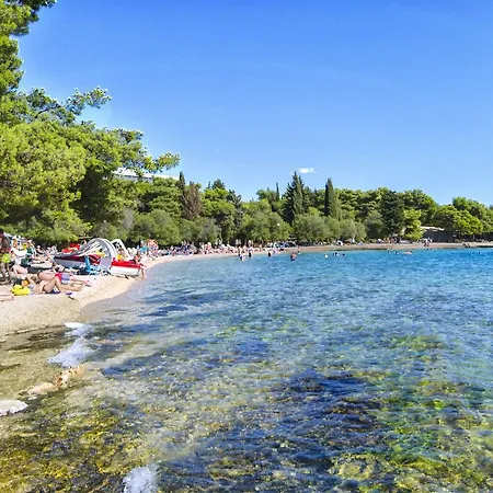Brankica Vodice